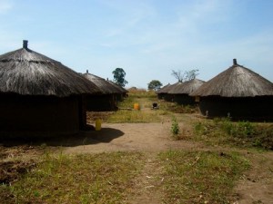 New Black Pantherville