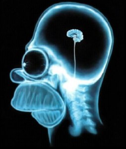 Big Words Small Mind